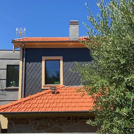 Casa Da Zefinha, Em Cinfaes, No Douro Apartment Exterior photo